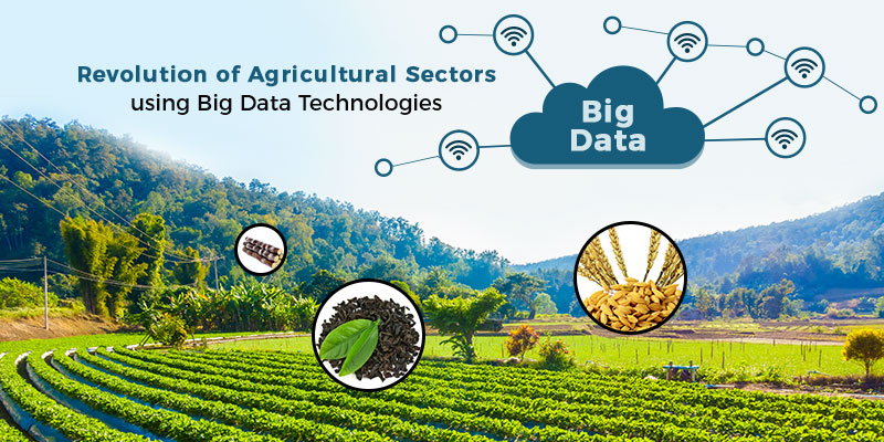 Big Data Technologies in Agriculture Sector