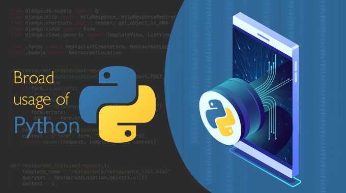 Why Programmers Prefer Python for Development?